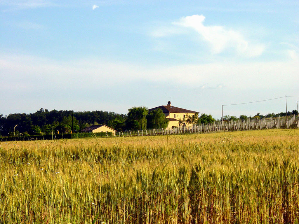 Agriturismo Verbena Castiglione del Lago Exterior foto
